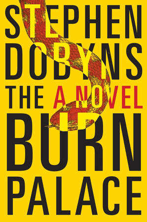 The Burn Palace by Stephen Dobyns