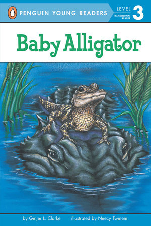 Baby Alligator by Ginjer L. Clarke