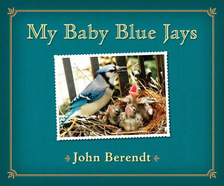 My Baby Blue Jays by John Berendt
