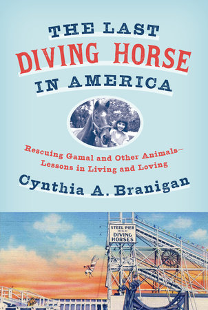 The Last Diving Horse in America by Cynthia A. Branigan