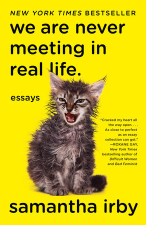 We Are Never Meeting in Real Life. Book Cover Picture