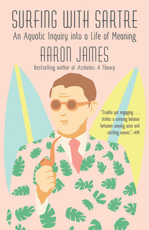 Surfing with Sartre by Aaron James