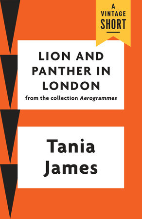 Lion and Panther in London by Tania James