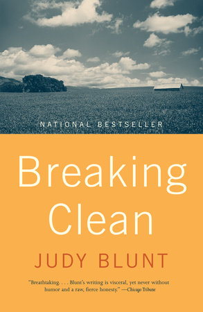 Breaking Clean by Judy J. Blunt and Nancy Smith