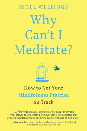 Why Can't I Meditate? by Nigel Wellings