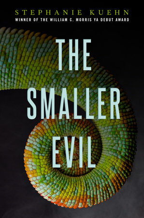 The Smaller Evil by Stephanie Kuehn