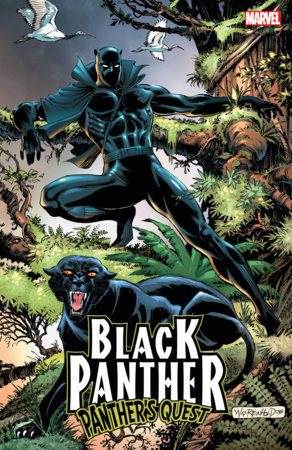 BLACK PANTHER: PANTHER'S QUEST by Don McGregor