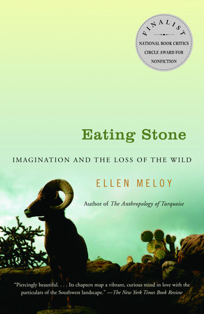 Eating Stone by Ellen Meloy