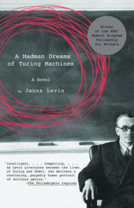 A Madman Dreams of Turing Machines