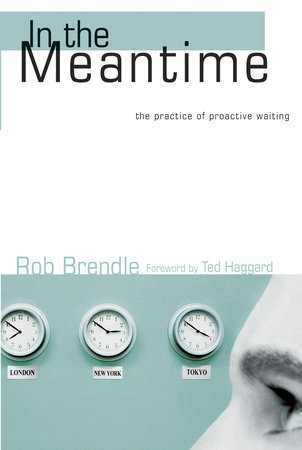 In the Meantime by Rob Brendle