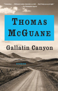 Gallatin Canyon