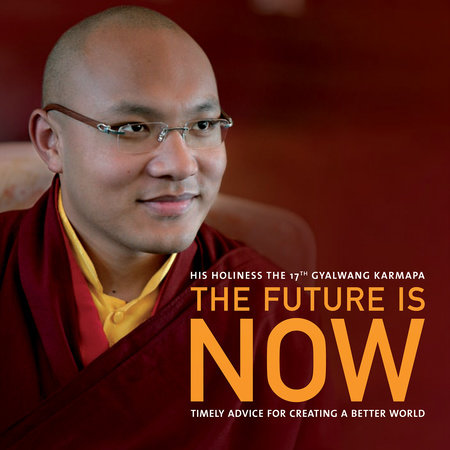 The Future Is Now by Ogyen Trinley Dorje