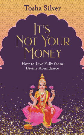 It's Not Your Money by Tosha Silver
