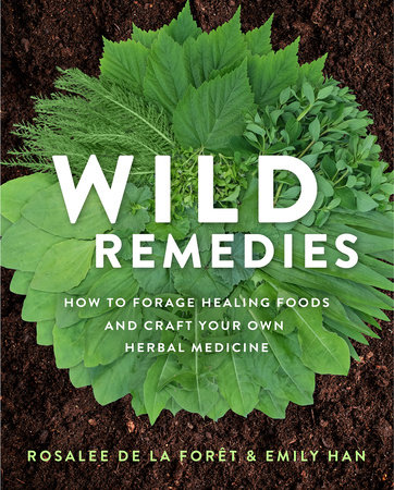 Wild Remedies by Rosalee de la Forêt and Emily Han