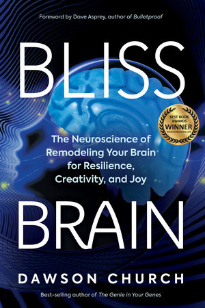 Bliss Brain by Dawson Church