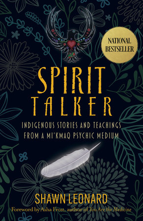 Spirit Talker by Shawn Leonard