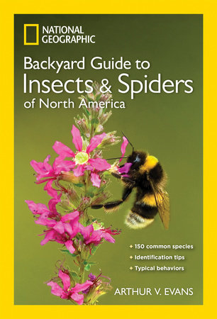 National Geographic Backyard Guide to Insects and Spiders of North America by Arthur V. Evans