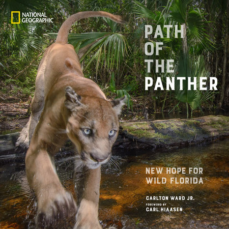 Path of the Panther by Carlton Ward, Jr.