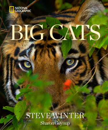 Big Cats by Steve Winter and Sharon Guynup