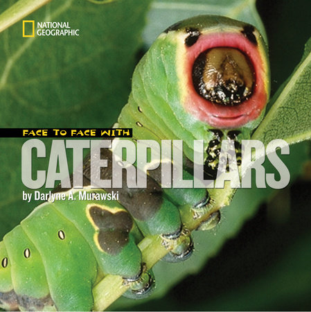 Face to Face with Caterpillars by Darlyne A. Murawski