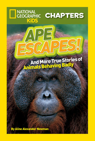 National Geographic Kids Chapters: Ape Escapes! by Aline Alexander Newman