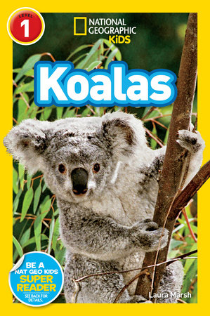Koalas (National Geographic Kids Readers, Level 1) by Laura Marsh