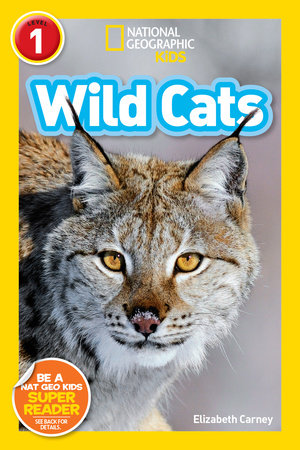 洋書　The Wild Cat Book 野生ネコ 洋書 The Wild Cat Book 野生ネコ 洋書 The Wild Cat Book 野生