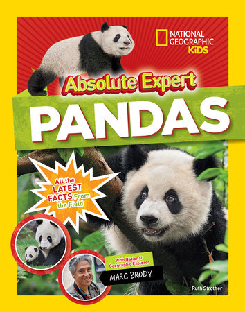 Absolute Expert: Pandas by Ruth Strother