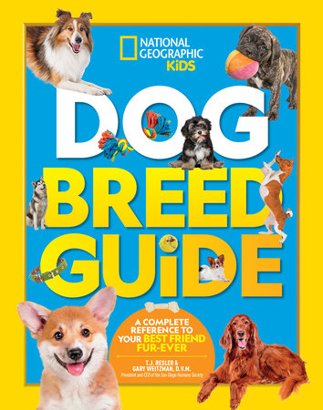 National Geographic Kids Dogs Sticker Activity Book [Book]