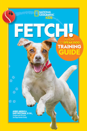 E-Book: Dog Travel Guide - English