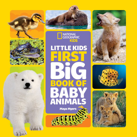 National Geographic Little Kids First Big Book of Baby Animals by Maya Myers