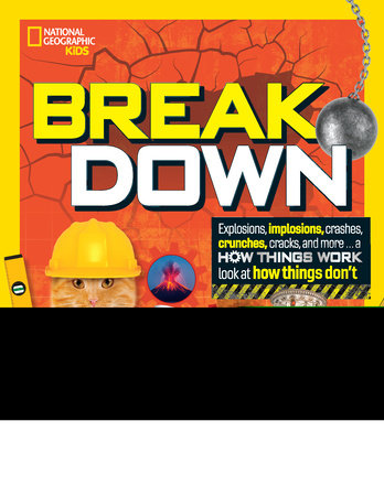 Break Down by Mara Grunbaum