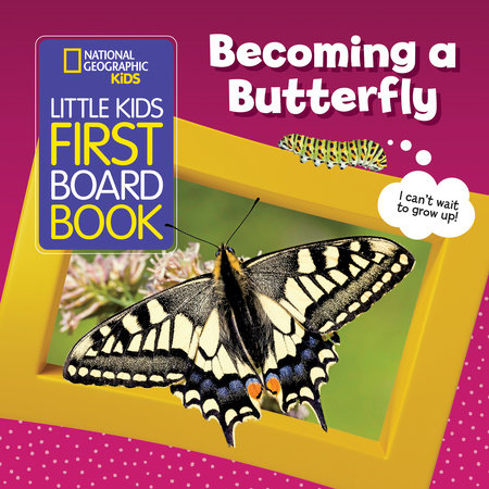 Little Kids First Board Book: Becoming a Butterfly by Ruth A. Musgrave