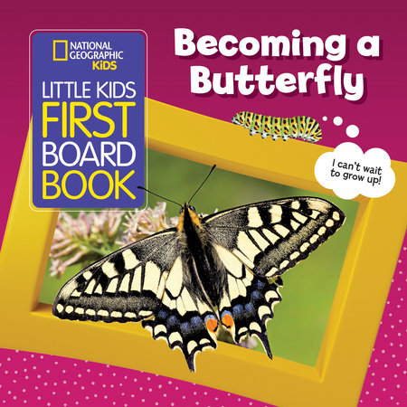 National Geographic Kids Little Kids First Board Book: Becoming a Butterfly by Ruth A. Musgrave