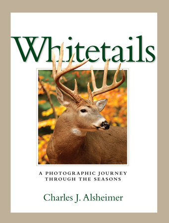 Whitetails by Charles J. Alsheimer