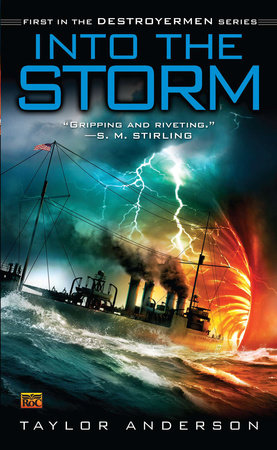 Into the Storm by Taylor Anderson