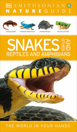 Nature Guide: Snakes and Other Reptiles and Amphibians by DK