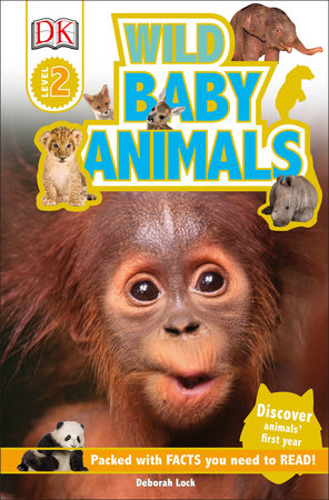 DK Readers L2: Wild Baby Animals by Deborah Lock