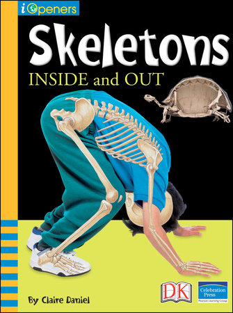 iOpener: Skeletons Inside and Out by Claire Daniel