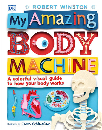 My Amazing Body Machine by Robert Winston