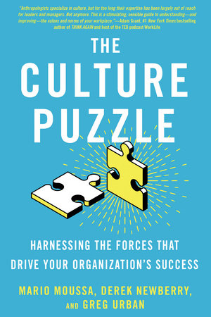 The Culture Puzzle by Mario Moussa, Derek Newberry and Greg Urban