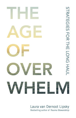 The Age of Overwhelm by Laura van Dernoot Lipsky