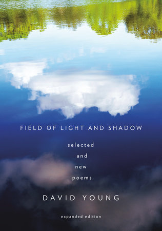 Field of Light and Shadow by David Young