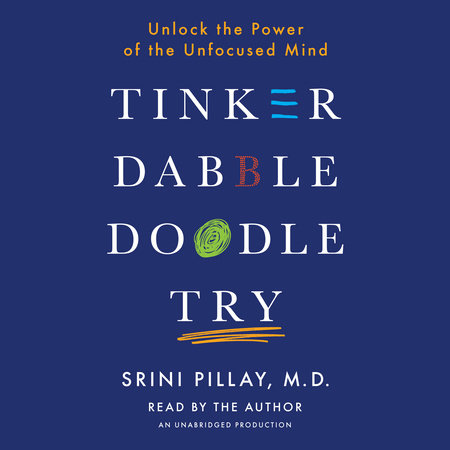 Tinker Dabble Doodle Try by Srini Pillay, M.D.