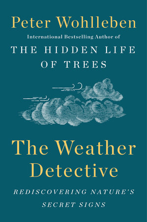 The Weather Detective by Peter Wohlleben