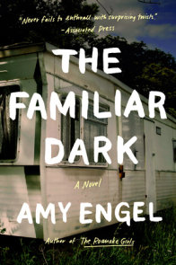 amy engel the familiar dark