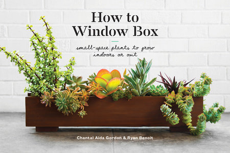 How to Window Box Book Cover Picture