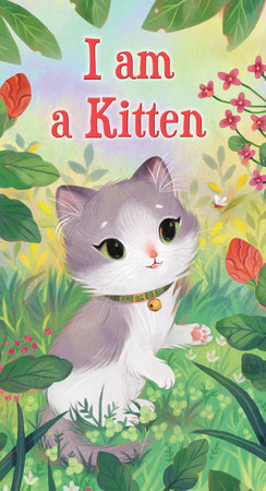 Amazon | I am a Mouse (A Golden Sturdy Book) | Risom, Ole