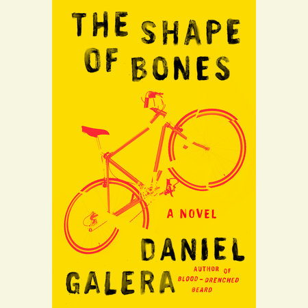 The Shape of Bones by Daniel Galera