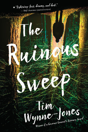 The Ruinous Sweep by Tim Wynne-Jones
